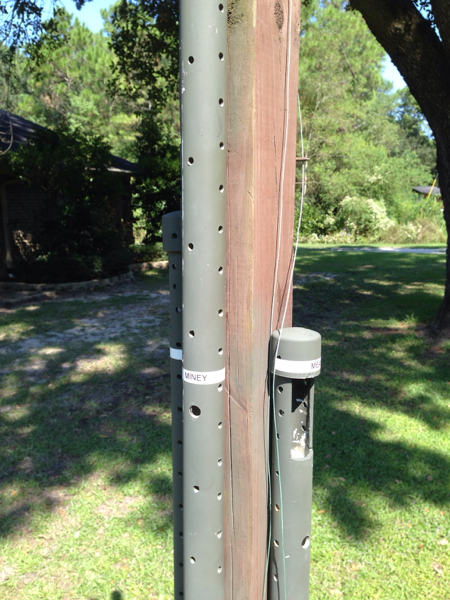 Which one will you pick?