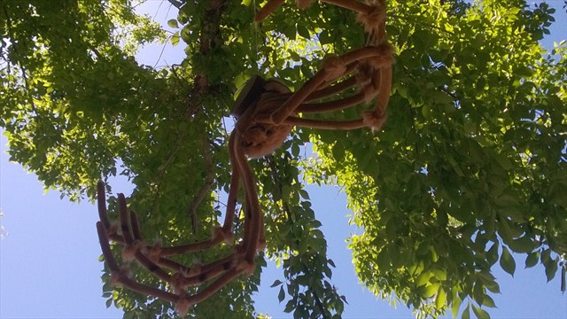 ACK! THIS IS MY NIGHTMARE. Photo by monkeymoo5