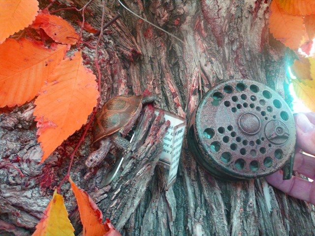 How you release the beast. Photo by Joe-n-Jane