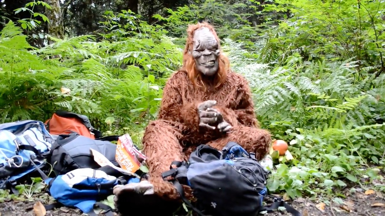 008 Sasquatch still
