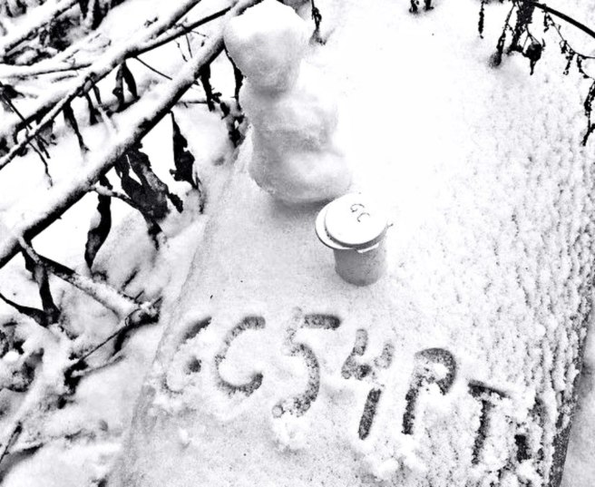 Make sure the geocache is available in winter