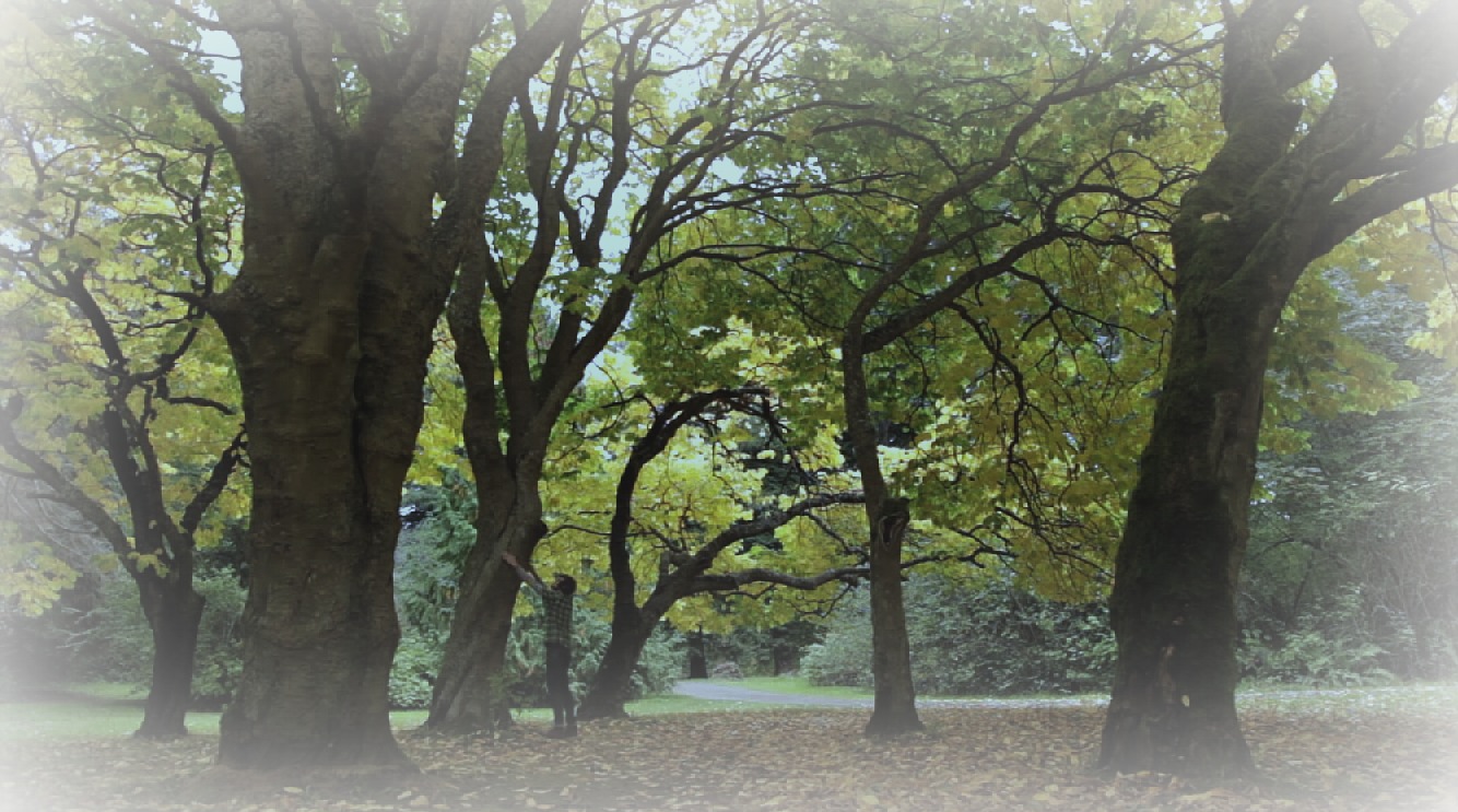 When the woods go silent...