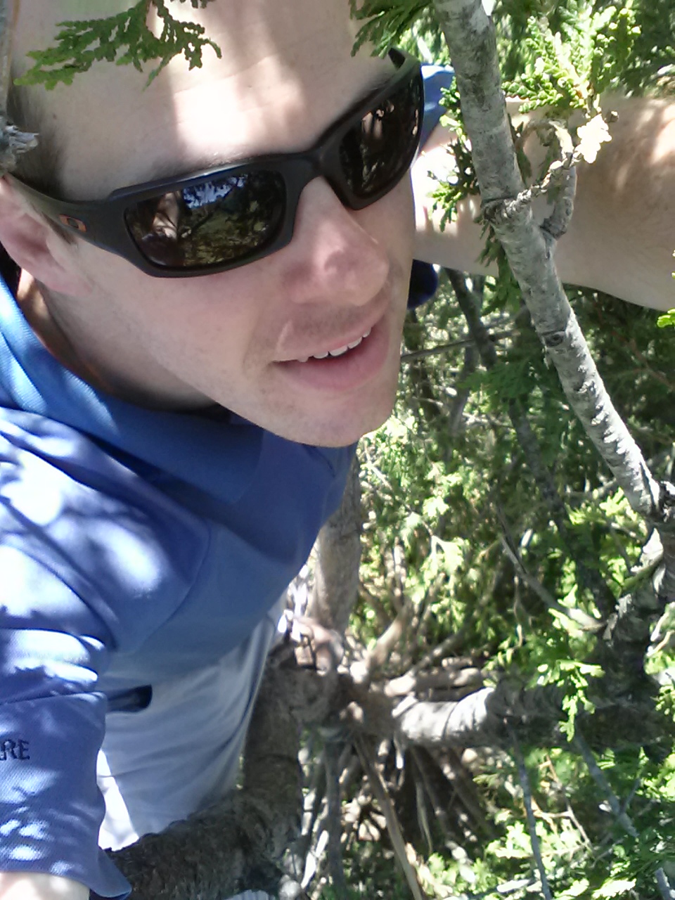 e8b3994e-b766-43c8-b95c-03b1677984ac