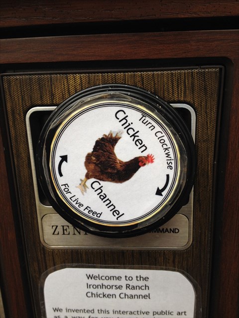 Turn the knob for live feed. Photo by geocacher geokwan