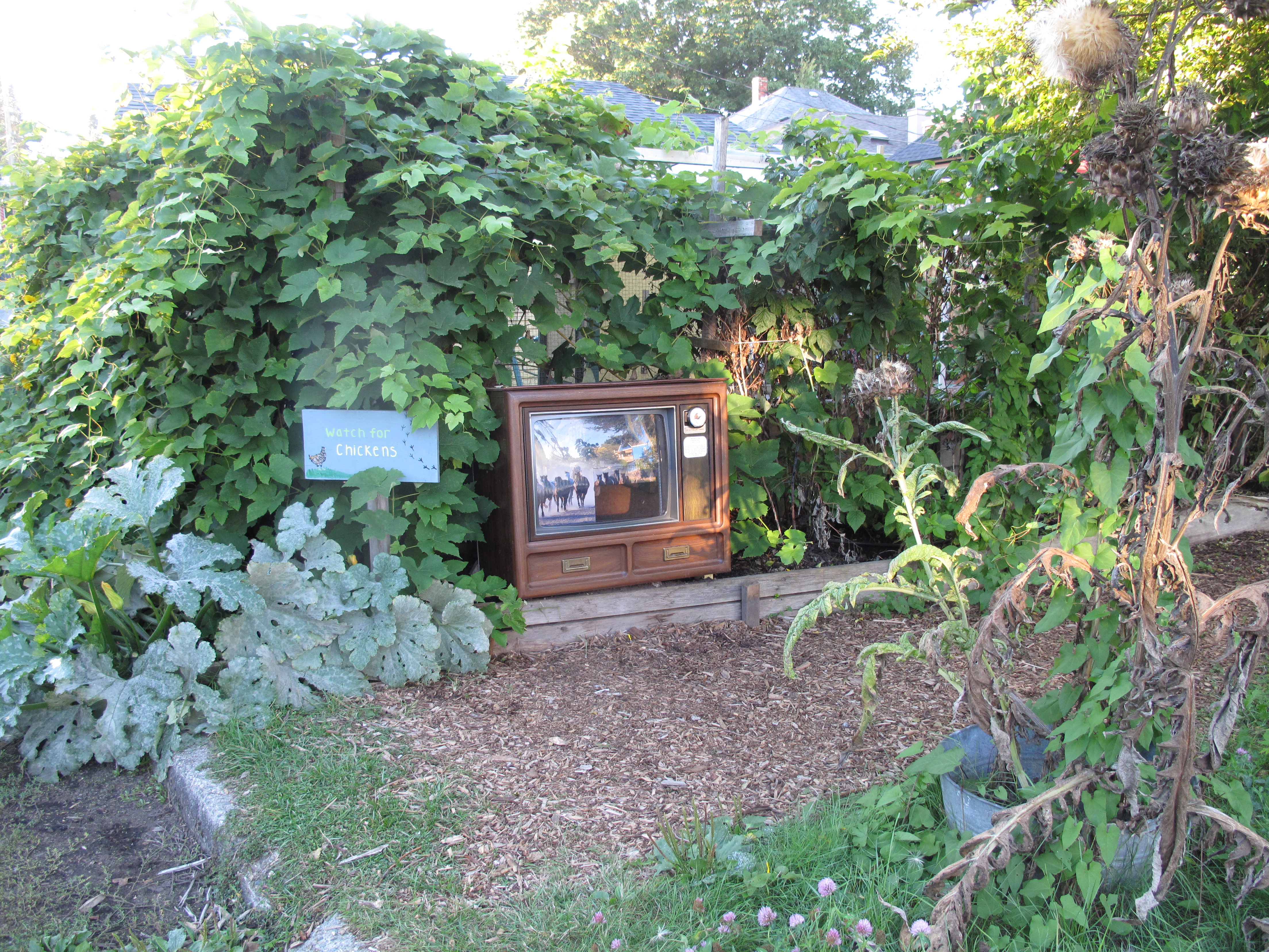 This TV channel is always so fowl.