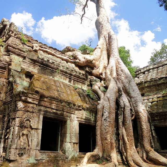 GC3Q9VP: Tomb Raider! Snag this geocache at sunrise to avoid muggles at the world famous Angkor Wat in Cambodia. #geocaching #adventure #travel