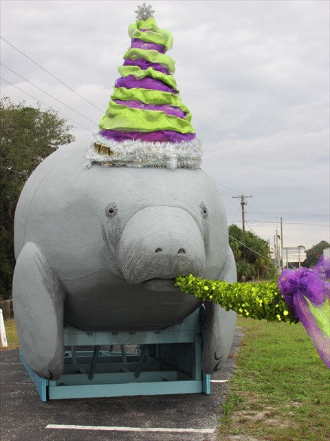 Bubbles is ready to party. Photo by geocacher safechrisLaurie