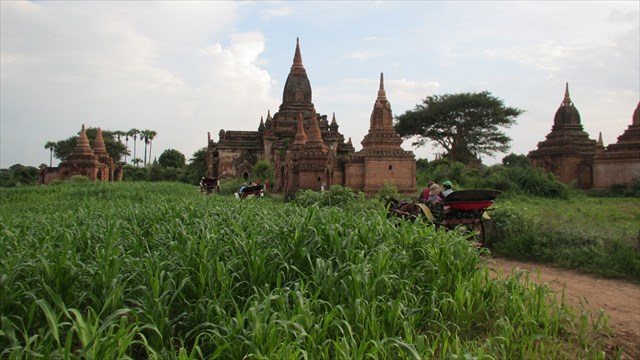 Along the road in Bagan. Photo by geocacher cachecarrie
