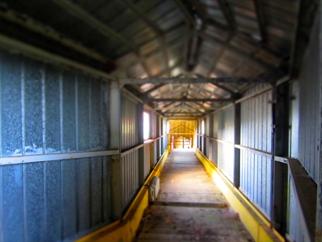 One of the many empty corridors. Photo by snoopyschiri 