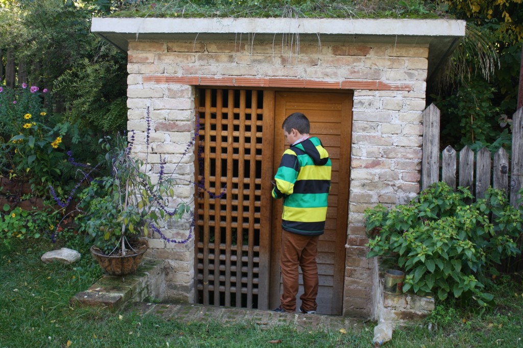 932939f8-8597-485d-9456-9631d5ed2dc3