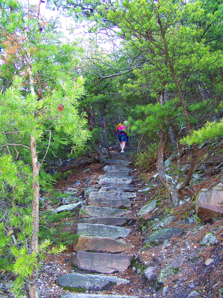 The start of the steps. Photo by Shrlock.