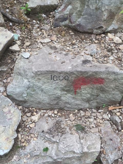 5dd73baf-0eb7-4112-8a73-75dcdddf15bb