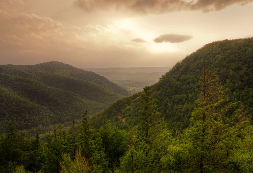 aad3cad9-ab0c-4626-a14c-af9f361bd110