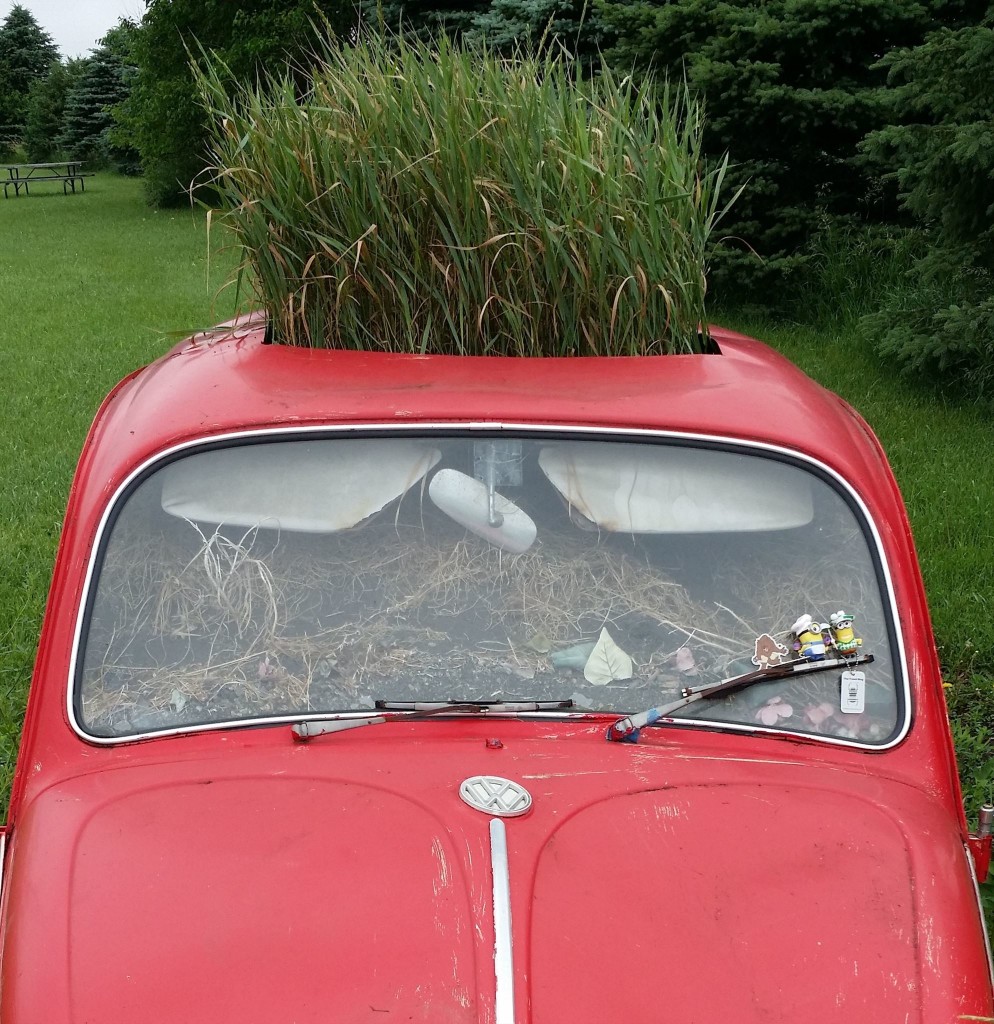 42cd3ce1-d4ce-45aa-a387-d8d9ab4e05b7