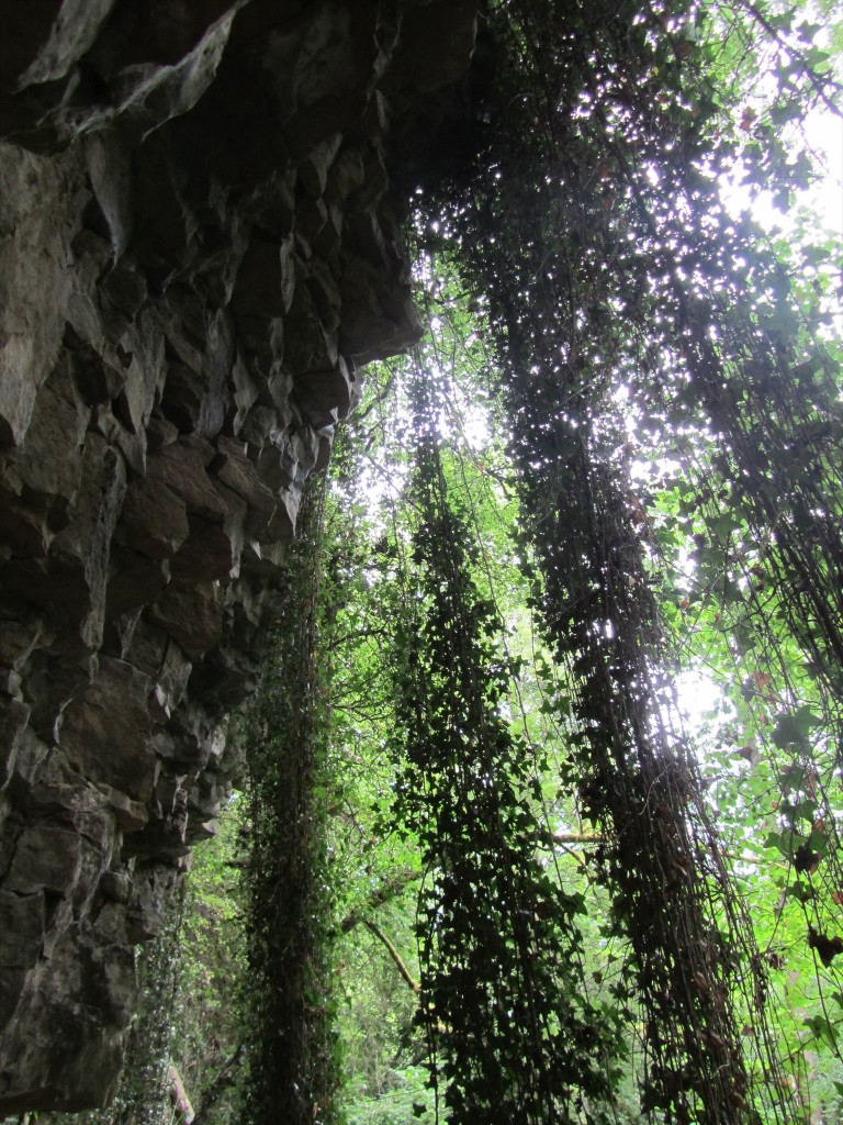 65c4d574-d9a9-4777-8645-f9f7d4e97de5