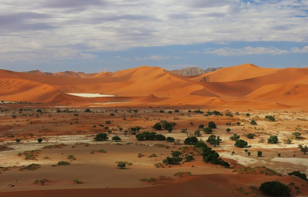 670bb78c-e93b-4fd6-8157-be2c18b9fbb2