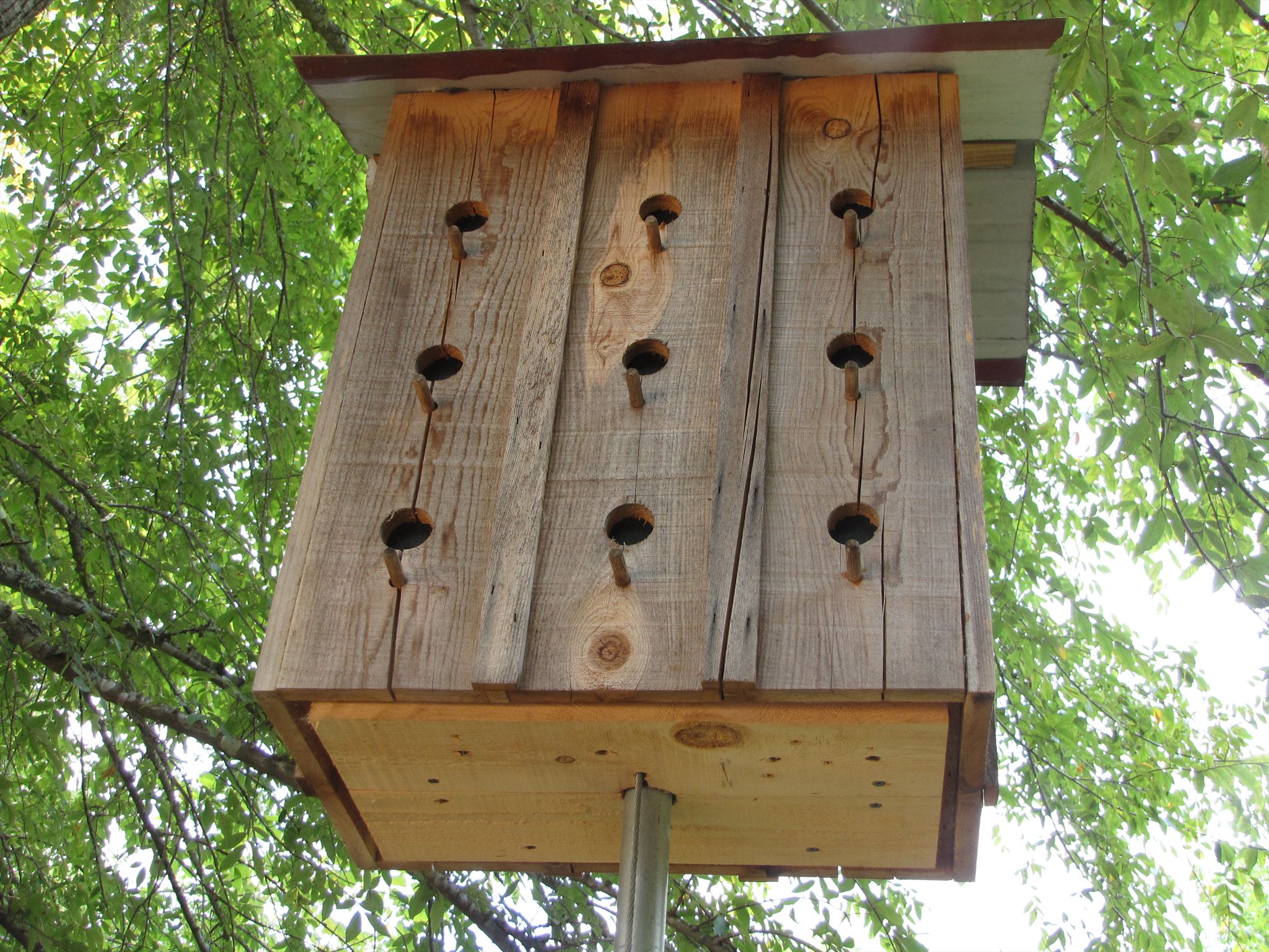 The Director’s Travel Bug Hotel (GC3MFAD) — Geocache of the Week