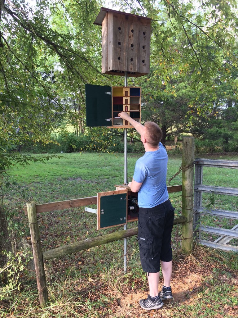 804a1b79-e6f0-4af8-a35c-270ba34341fd