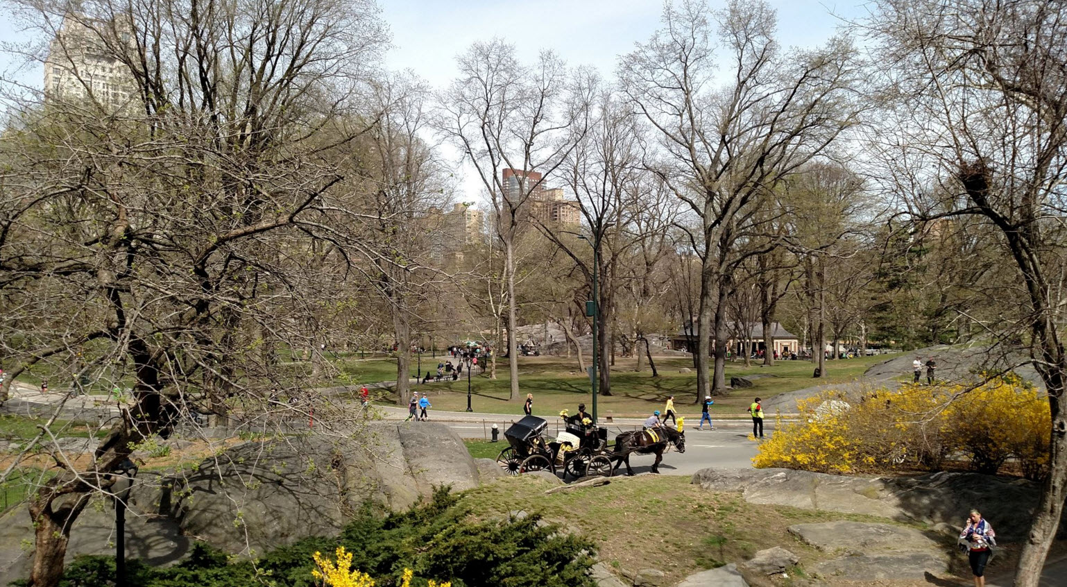 GC12F8M - Snug as a Bug in Central Park