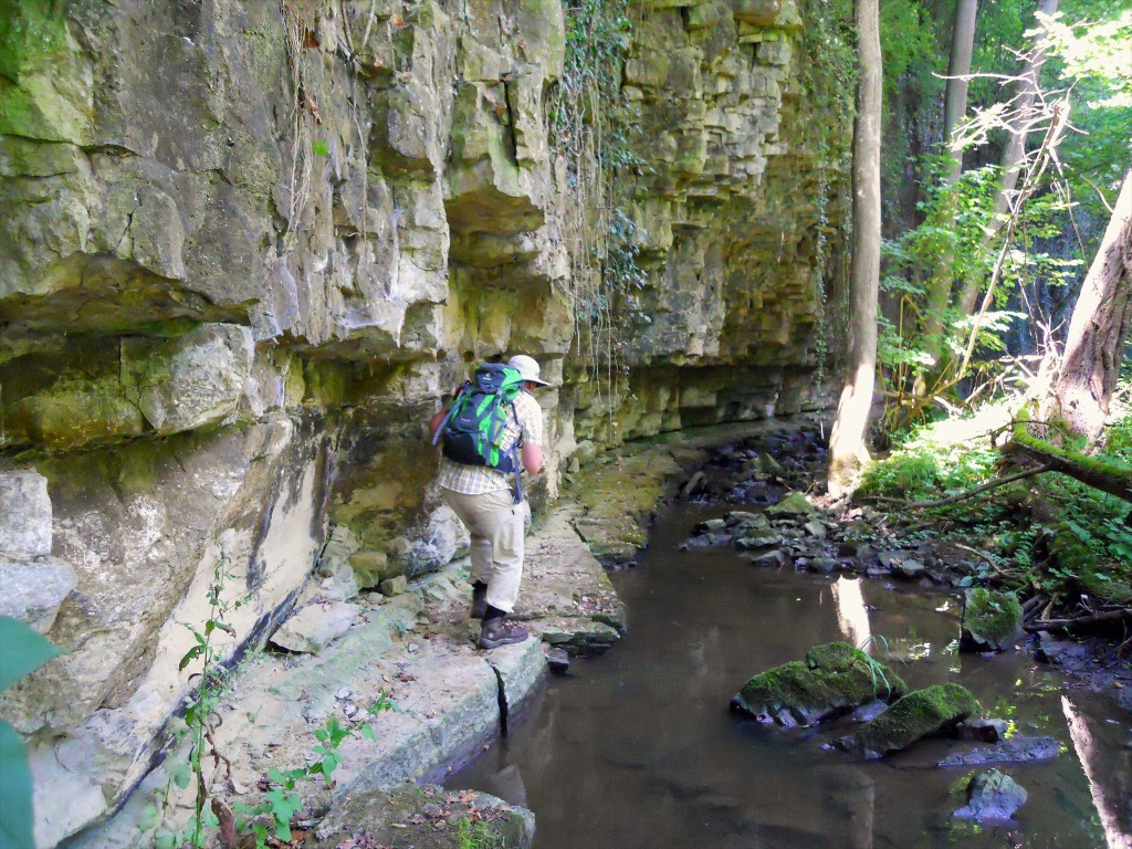 beed3029-9ac1-40c1-badc-90410836249e