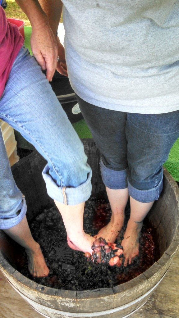 "Stomp grapes? Yes please! Taste Wine? Yes Please? Teach the owner's grandniece about geocaching? Yes please," wrote geocacher doanna at GC4V22F.