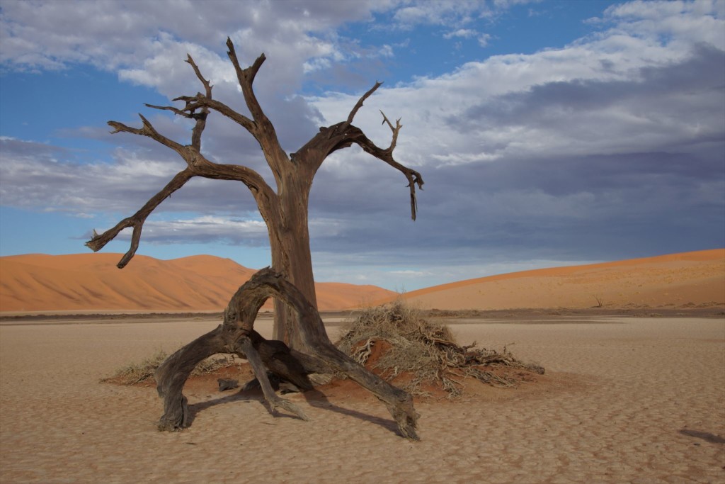 e3c79a1a-73c1-4a86-90c7-e75735bc08a0