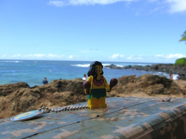 Aloha from Hula Girl TB!