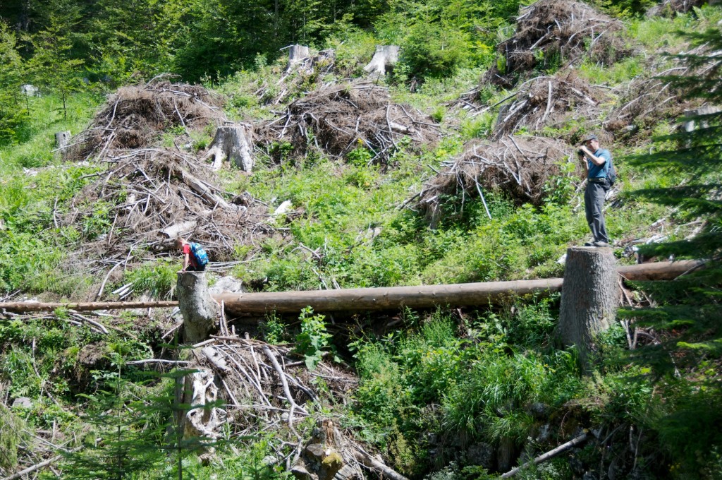 2e6b9314-fdc4-454d-940e-7a23be659471