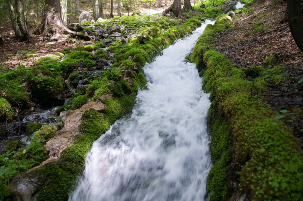 5f9824d5-3462-42c2-bbec-bb7f40e6e1ef