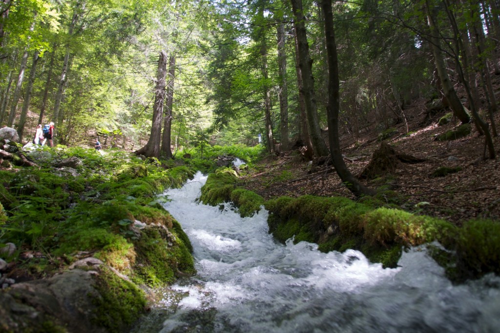 7116d565-e8ba-45ad-8bdb-4d955e30fb72