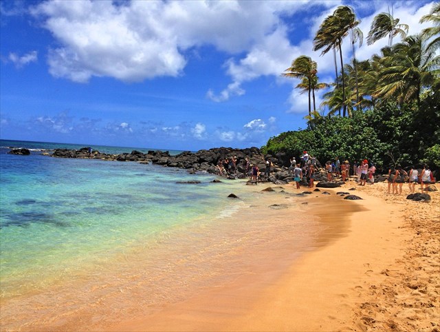 The real name for this beach is Laniakea Beach