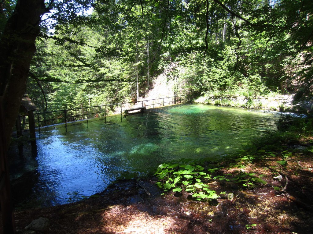 ae8e7eb6-183b-4e91-8ea8-989e5f9b5a5b