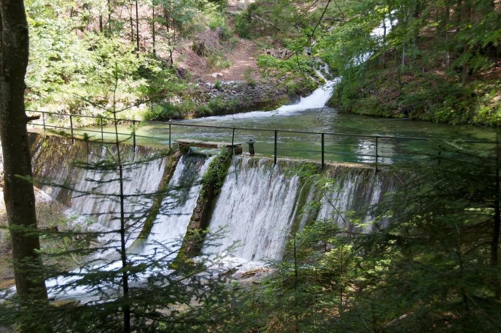 c508dd1f-dc67-4e80-9804-e0f89a79eea3