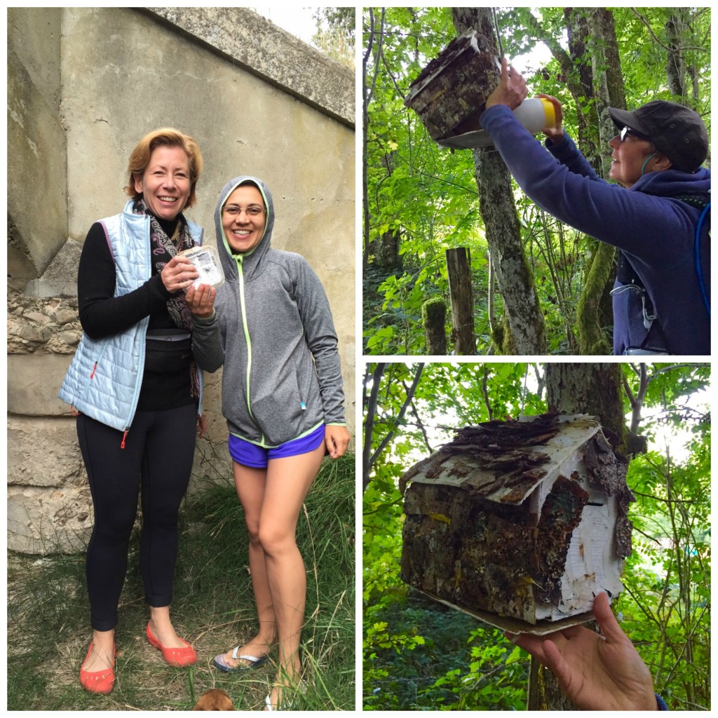 Clockwise from left: Karin and Milene find a cache together, Amber finds her 1st geocache.