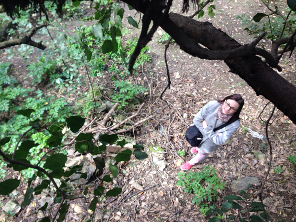 ec42afbb-04b4-4a64-bea0-f34a8f19027b