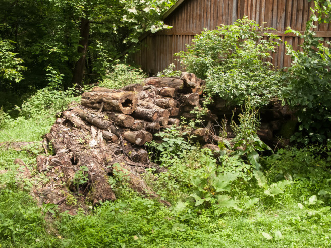 Spiders like to hide in wood piles