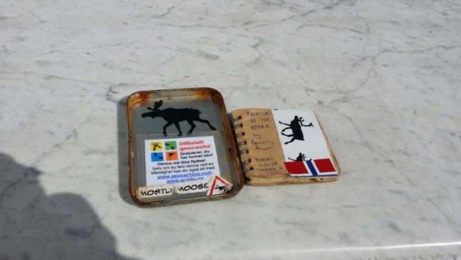 The cache and logbook. Image by nafmo.