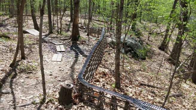Rails wind snake-like through the woods.