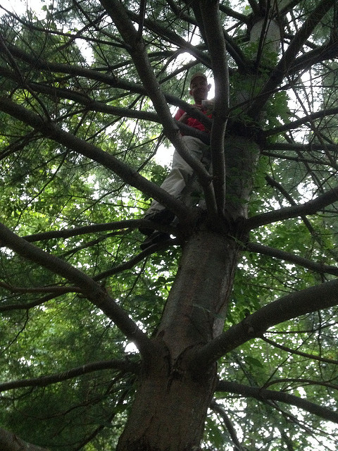 14719855964_0c3007ac08_z