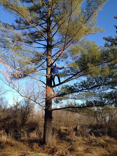 15506361946_fc7d40a4b5_z