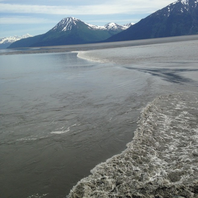 1dc909e7-a7fd-444e-b1c2-bb1408fe9658