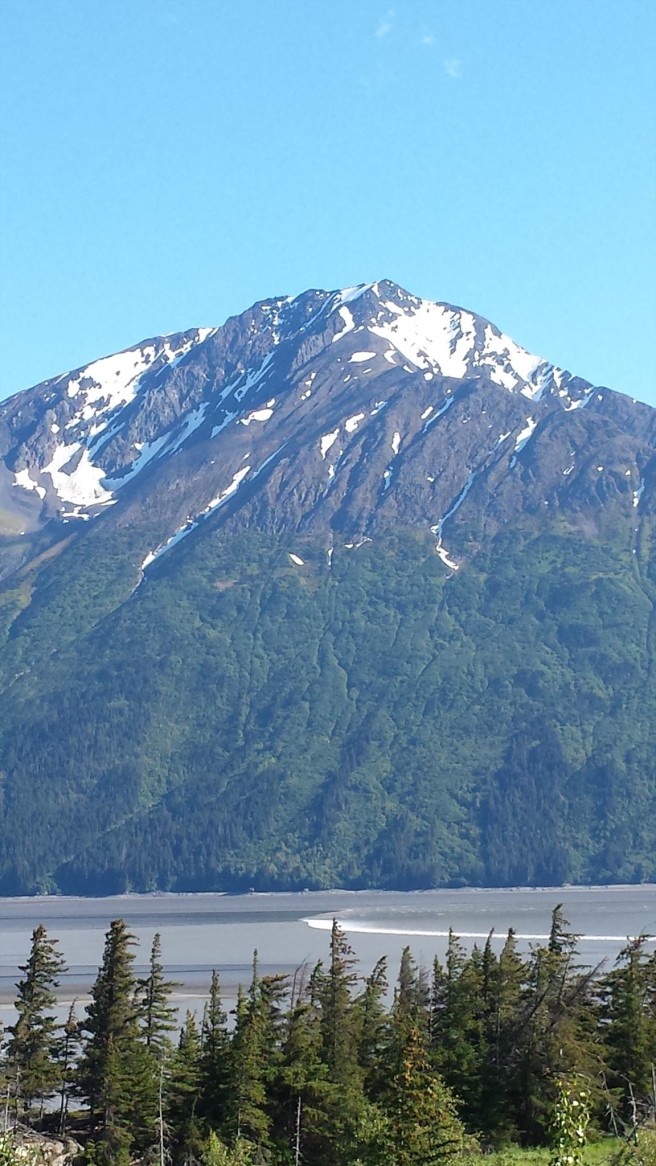 f4357d23-742a-4eef-86be-38b3030f2b0d