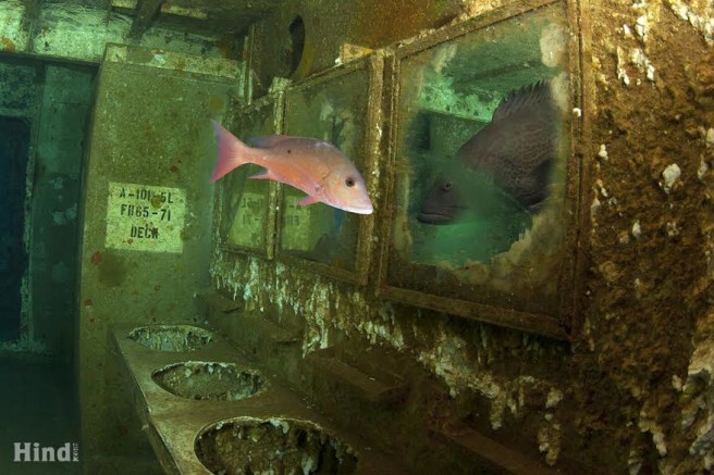 "Fish In Mirro" by Hindl.com