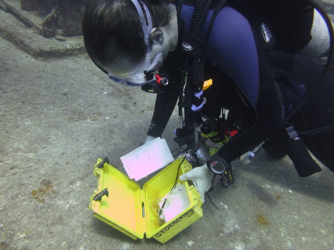 df74323d-c893-4631-967d-c979c53af97a