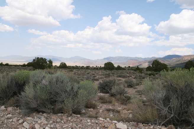 47c67d08-d57d-47b2-9516-0f9d5d813450