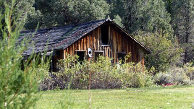 5eed5e95-6938-4291-9a2c-af8fc1036b29