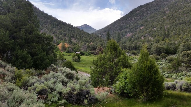 d2e2ad7c-5876-4893-a8ca-fc88b33e8c57