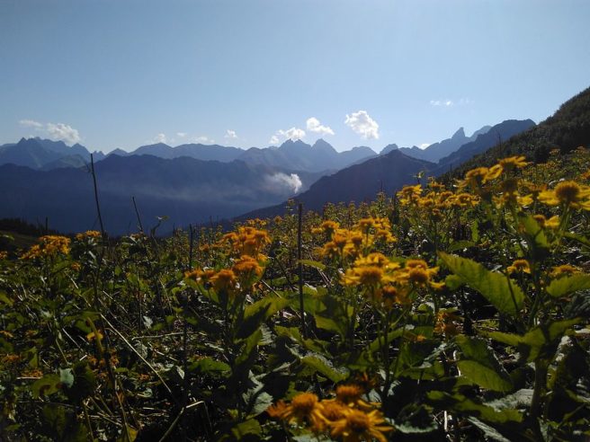 Did we mention the cache is at a cable car station on the top of a very beautiful mountain?