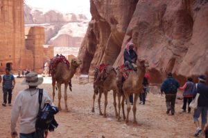 Camels through Petra