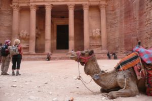 A camel takes a rest in front of Petra